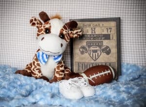 Heartbeat Animals Pittsburgh 4D Elective Pittsburgh 4D Elective ultrasound_ MBHBB JAN 2019 09 1