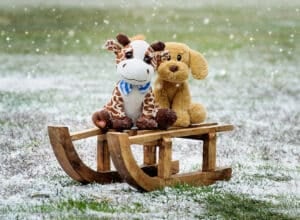 Heartbeat Animals Pittsburgh 4D Elective Pittsburgh 4D Elective ultrasound_ MBHBB JAN 2019 11