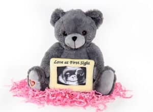 Heartbeat Animals Pittsburgh 4D Elective Pittsburgh 4D Elective ultrasound_ MBHBB JAN 2019 13