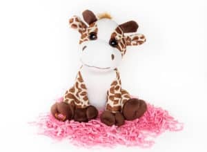 Heartbeat Animals Pittsburgh 4D Elective Pittsburgh 4D Elective ultrasound_ MBHBB JAN 2019 14